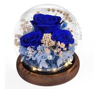 Beinhome Rosa Stabilizzata Vera Rose Eterne Fiori Fatto a Mano in Vetro con Luci LED Regali per Lei Donna Mamma Nonna Fidanzata, per San Valentino Festa della Mamma Compleanno Ringraziamento Natale