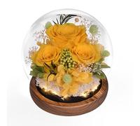 Beinhome Rosa Stabilizzata Vera Rose Eterne Fiori Fatto a Mano in vetro con Luci LED Regali per Lei Donna Mamma Nonna Fidanzata, per San Valentino Festa Della Mamma Compleanno Ringraziamento Natale