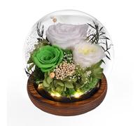 Beinhome Rosa Stabilizzata Vera Rose Eterne Fiori Fatto a Mano in Vetro con Luci LED Regali per Lei Donna Mamma Nonna Fidanzata, per San Valentino Festa della Mamma Compleanno Ringraziamento Natale