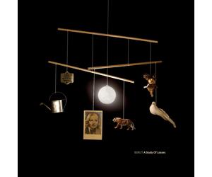 Beirut - A Study Of Losses - Cd