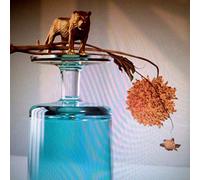 Beirut - GALLIPOLI