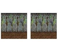 Beistle Fondali Cimitero 2 Pezzi, 4' x 30', Multicolore