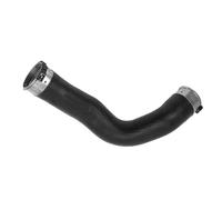 Bekuyu Intercooler Tubo Flessibile Tubo Flessibile in Gomma per Turbocompressore, Intercooler, Presa d'Aria, Tubo Gonfiabile per B&MW F10 F11 F07 520d 525d 525dX 11617810615