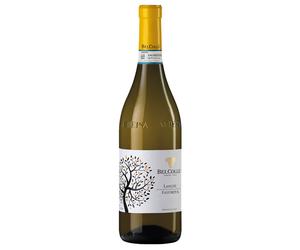 Bel Colle Langhe DOC Favorita 2024 0,75 ℓ