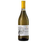 Bel Colle Roero Arneis DOCG 2025 0,75 l