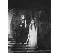 Bela Lugosi Come Conte Dracula Poster Stampa 24x20" Ottimo Per I Fan 171719