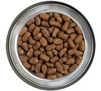 12,5 kg Belcando Adult Iberico e Riso Alimento Completo Cibo Secco Crocchette Croccantini per Cani Adulti di Tutte le Taglie con Maiale Fresco