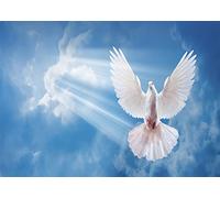 BELECO 1.5x1m Tessuto Colomba Pace Sfondo Spirito Santo Uccello Gesù Cristo Luce Celeste Cielo Azzurro Nuvole Amore Pace Colomba Bianca Evento Chiesa