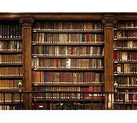 BELECO 10x6.5ft Vintage Bookshelf Backdrop Library Books Antique Book Racks in Old Library Phtography Backdrop for Party D.