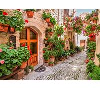 BELECO 2.1x1.5m Sfondo in tessuto con strade di città italiane per fotografie,decorazioni per feste a tema italiano,sfondo con fiori della Toscana,sfondo di vicoli stretti,studio fotografico italiano