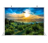 BELECO 2.1x1.5m Tessuto Vista al tramonto della Città Vecchia di Gerusalemme Sfondo Monte degli Ulivi, Cupola della Roccia, Sfondo del paesaggio urbano di Gerusalemme Decorazioni per feste