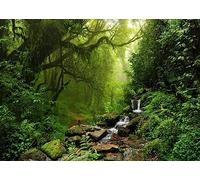 BELECO 2.5x1.8m Sfondo in Tessuto Foresta Pluviale Ruscello Radici Cascate | Motivo Foresta Pluviale Ruscello Radici Sfondo in Tessuto Bosco e Luce Naturale per Ritratti Natura Accessori Photo Booth
