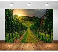 BELECO 2.5x1.8m Sfondo Vigneto, Campagna, Uva, Paesaggio al Tramonto, Vendemmia, Feste a Tema Vino, Ritratto, Cabina Fotografica, Accessori.