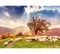 BELECO 4.6x2.5m Sfondo Fotografico Scena Biblica Pecore Montagna Autunno Colline Carpazie Rumene Pecore Sotto All’Albero Luce Sacra Decorazione Evento Chiesa Ritratti Studio