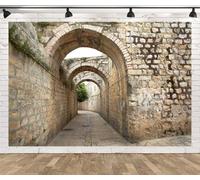 BELECO 4.6x3m Sfondo Tessuto Città Vecchia Gerusalemme Antica | Sfondo Muro Di Pietra Usurato Archi Vicolo Selciato Israele Decorazione Festa Chiesa Evento Accessori Studio
