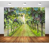 BELECO 6x3m Fondali in tessuto per vigneto per fotografia Campagna Vigneto Paesaggio Cantina Sfondo Uva agricola Vendemmia Vino Decorazioni per feste Ritratto Servizio fotografico