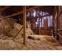 BELECO Fondale fotografico rustico con interni di un vecchio fienile con balle di paglia e scena rustica, per servizi fotografici, feste, presepe, decorazione per foto, L-0015, 3 x 2 m