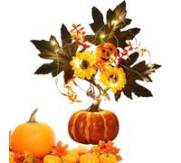 Beleuchtetes Kür aumlicht Herbstdeko 25-36 cm - Warmes LED Licht mit eingebauter Batteria | Halloween Ringraziamento Tischdekoration | Charmante Herbstbeleuchtung für Wohnzimmer Küche Esszimmer