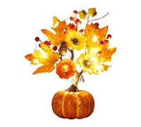 Beleuchtetes Kür aumlicht Herbstdeko 25-36 cm - Warmes LED Licht mit eingebauter Batteria | Halloween Ringraziamento Tischdekoration | Charmante Herbstbeleuchtung für Wohnzimmer Küche Esszimmer