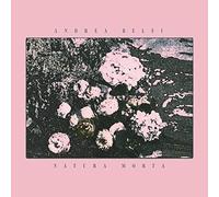 Belfi Andrea - Natura Morta