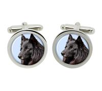 Belga Pastore Cane (Groenendael) Gemelli IN Cromo Scatola