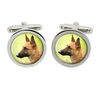 Belga Pastore Cane (Malinois) Gemelli IN Cromo Scatola