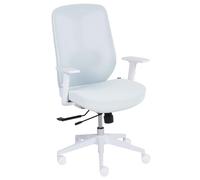 Beliani Sedia da ufficio ergonomica con supporto lombare braccioli regolabili tessuto a rete azzurro Zeler