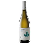 Belisario Terre di Chieti Pecorino IGT 2024 0,75 l