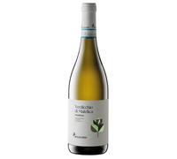 Belisario Valbona Verdicchio di Matelica DOC 2024 0,75 ℓ
