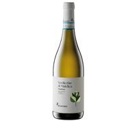 Belisario Valbona Verdicchio di Matelica DOC 2025 0,75 l