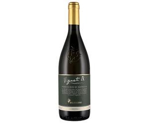 Belisario Vigneti B. Verdicchio di Matelica DOC 2025 0,75 ℓ