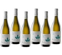 BELISARIO VINO BIANCO PECORINO 2023 IGP TERRE DI CHIETI 75 CL 6 BOTTIGLIE