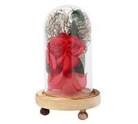 Belissy Coperta in Vetro Rosa Artificiale Fiore Ornamento Decorazione per il Giorno Regalo Home Decor San Valentino