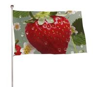 Bella bandiera a forma di fragola, 152,4 x 243,8 cm, stampa su entrambi i lati, bandiera decorativa da giardino, non sbiadisce, con occhielli in ottone, sfondo fotografico da appendere per interni ed