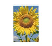 Bella bandiera da giardino di benvenuto girasole 2x3 Ft No Fade Double Sided Casa Yard Bandiere Outdoor Banner Decor Per Cortile Portico Prato