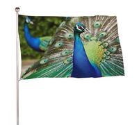 Bella bandiera del pavone 119,4 x 177,8 cm, stampa su entrambi i lati, bandiera decorativa da giardino, non sbiadisce, con occhielli in ottone da appendere, sfondo fotografico per interni ed esterni
