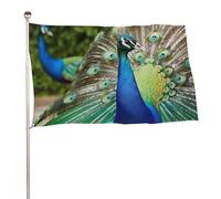 Bella bandiera del pavone 152,4 x 243,8 cm, stampa su entrambi i lati, bandiera decorativa da giardino, non sbiadisce, con occhielli in ottone da appendere, sfondo fotografico per interni ed esterni