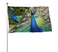 Bella bandiera del pavone 61 x 88,9 cm, stampa su entrambi i lati, bandiera decorativa da giardino, non sbiadisce, con occhielli in ottone da appendere, sfondo fotografico per interni ed esterni