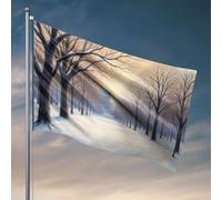 Bella decorazione per la stanza dei ragazzi, un paesaggio invernale sereno con alberi innevati che portano a un edificio lontano. Bandiera Happy Camper Regali Bandiere per camera per ragazze (30 x 45