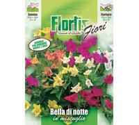 Bella Di Notte