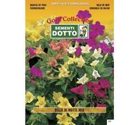 Bella di Notte Fiore: Linea Fiori Gold in mix Semi