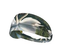 Bella fascia elastica unisex con stampa di cigni bianchi sul lago, ideale come regalo per amici amanti dello sport, famiglia