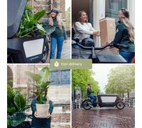 Bella Fiori Secchi Mix Im Field Bouquet Multicolore - Ø20cm , Altezza 50cm, La