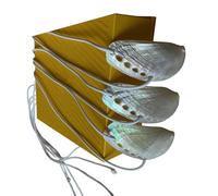 Bella Shell Accento Layering Catena Collana Beachy Bold Design Collarbone Catena Per Abiti Design esagerato Gioielli Vacanza, Misura unica, come descritto, come descritto