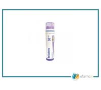 Belladonna Boi Boiron 30CH Medicinale Omeopatico in granuli, 4g