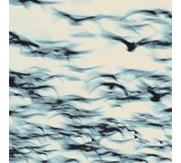 Bellbird The Call (Vinyl LP) 12" Album