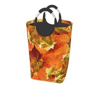 Belle foglie autunnali, Cesto portabiancheria pieghevole, Grande contenitore portaoggetti resistente con manici, 50 litri