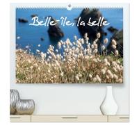 Belle-Île, la belle (Calendrier mural 2026 DIN A2 vertical) calendrier de bureau: Belle-Île-en-Mer, une île nature, naturelle, préservée. Des petites ... des rochers, de la flore, un enchantement.