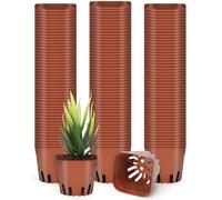 BELLE VOUS 150 Pezzi Vaso Quadrato Plastica Marrone - 5 x 5,5 x 6,5 cm - Vasi