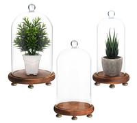 Belle Vous 3 Pezzi Campana Vetro con Base Legno Scuro - Taglia Piccola, Media e